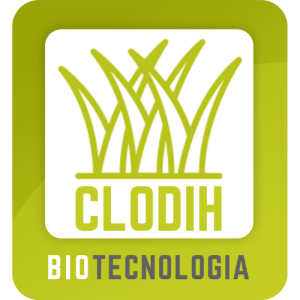 logo clodih transparente (3)